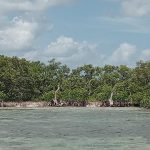 Isla mujeres | Reserva Fernando — imagen 1