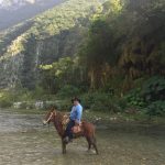 Linares — imagen 3