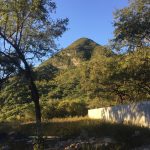 Linares — imagen 1